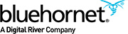BlueHornet-Logo
